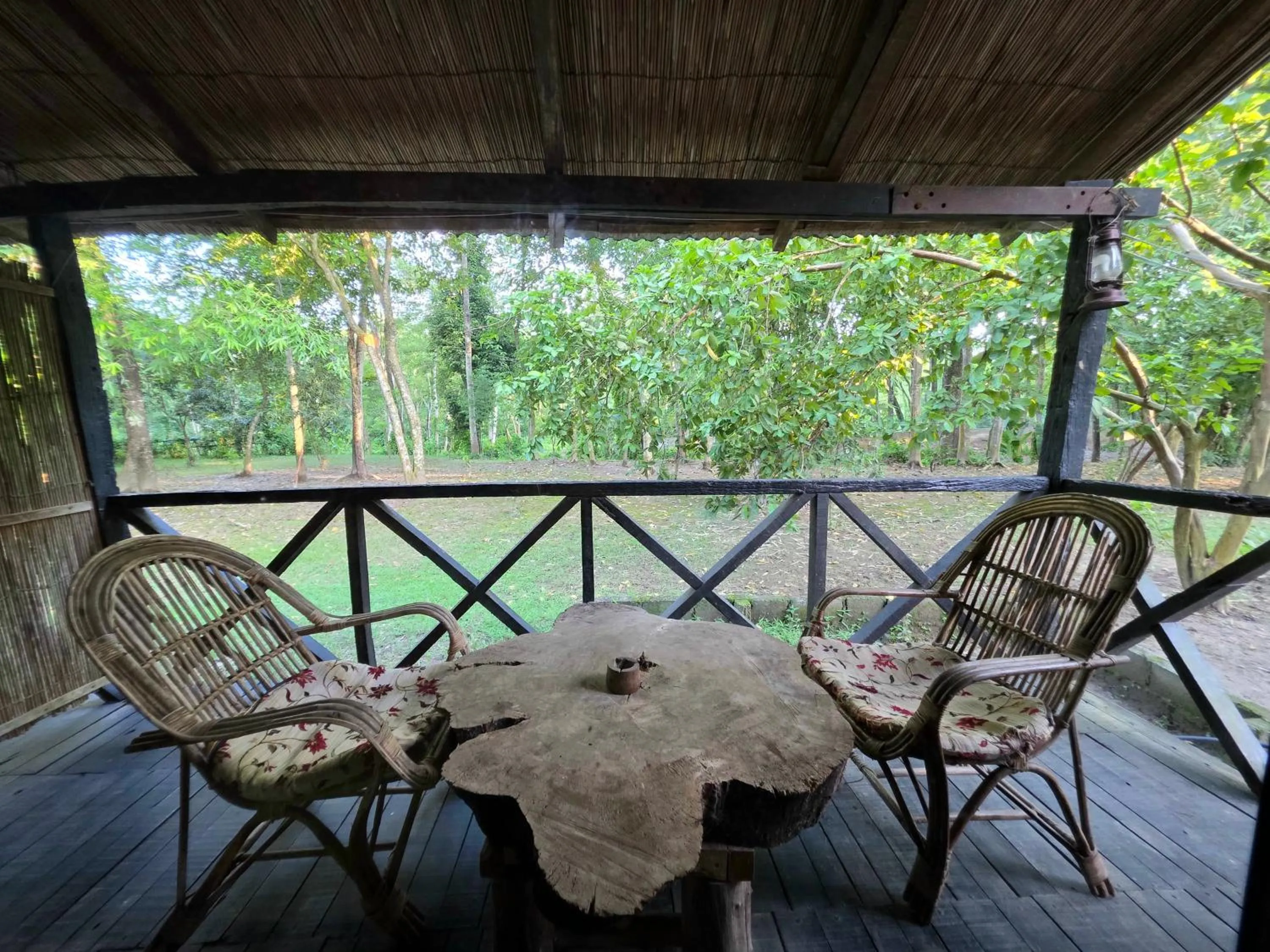 Balcony/Terrace in Siddhartha Wildlife Retreat