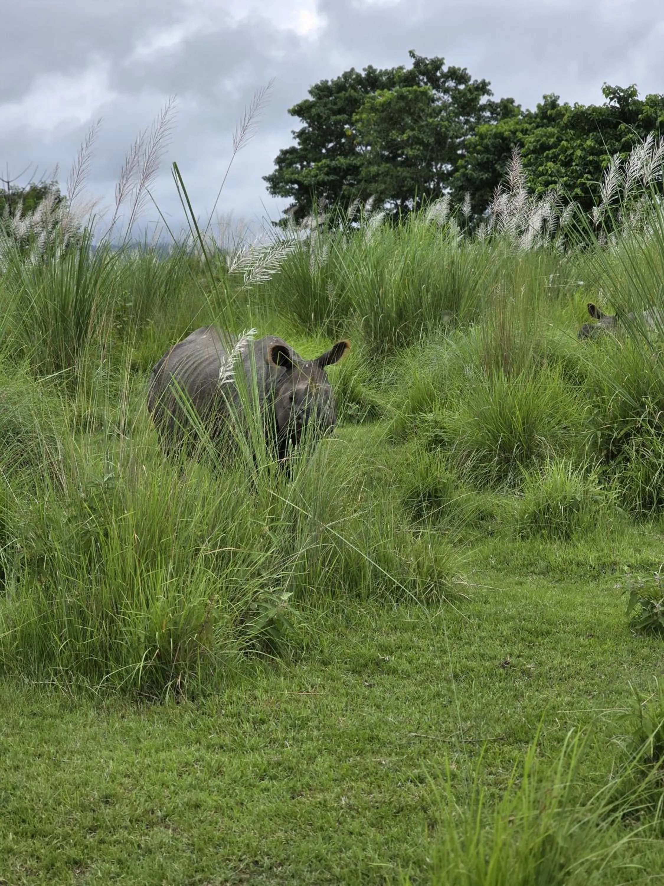 Day in Siddhartha Wildlife Retreat