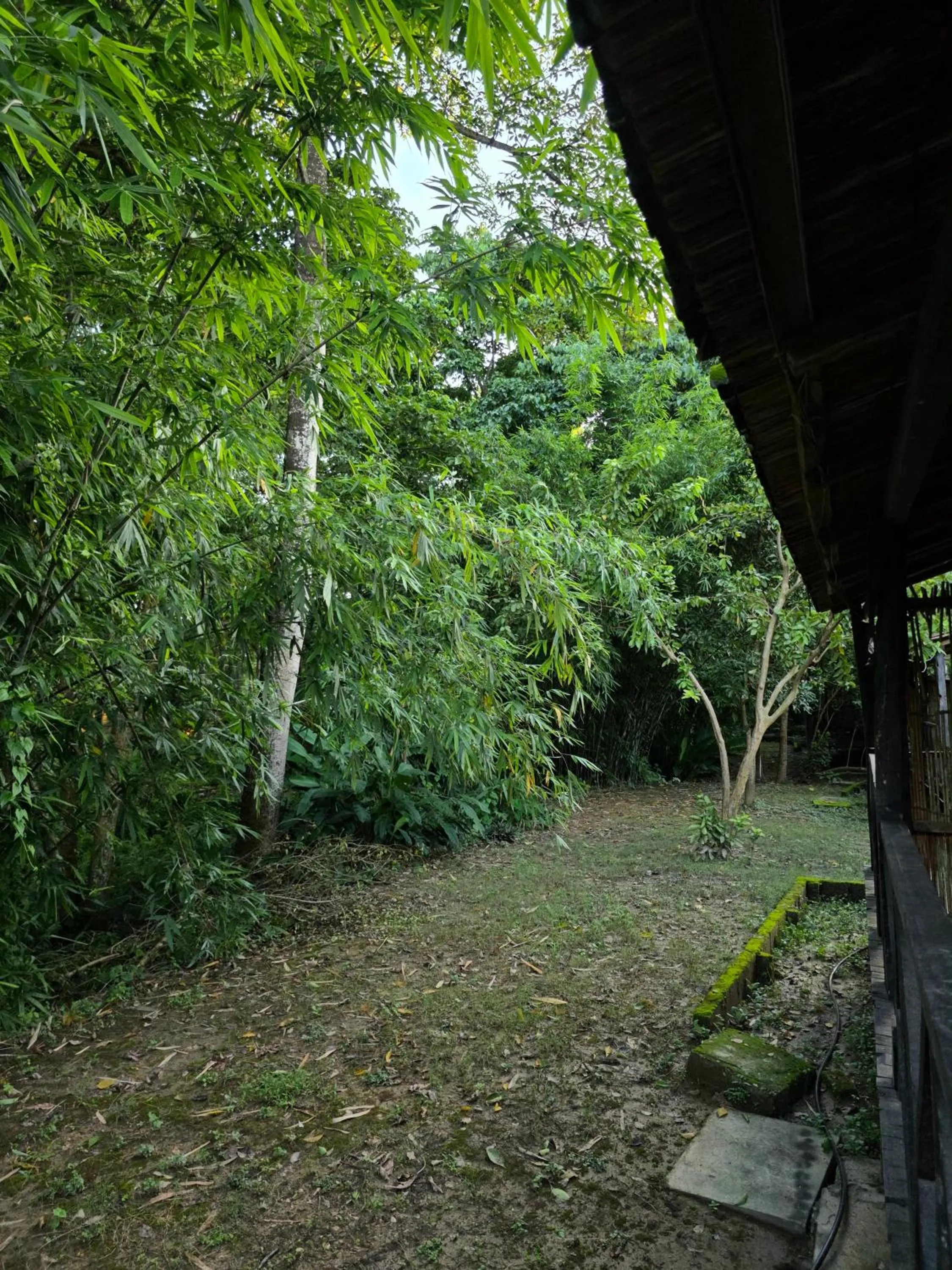 Garden view in Siddhartha Wildlife Retreat