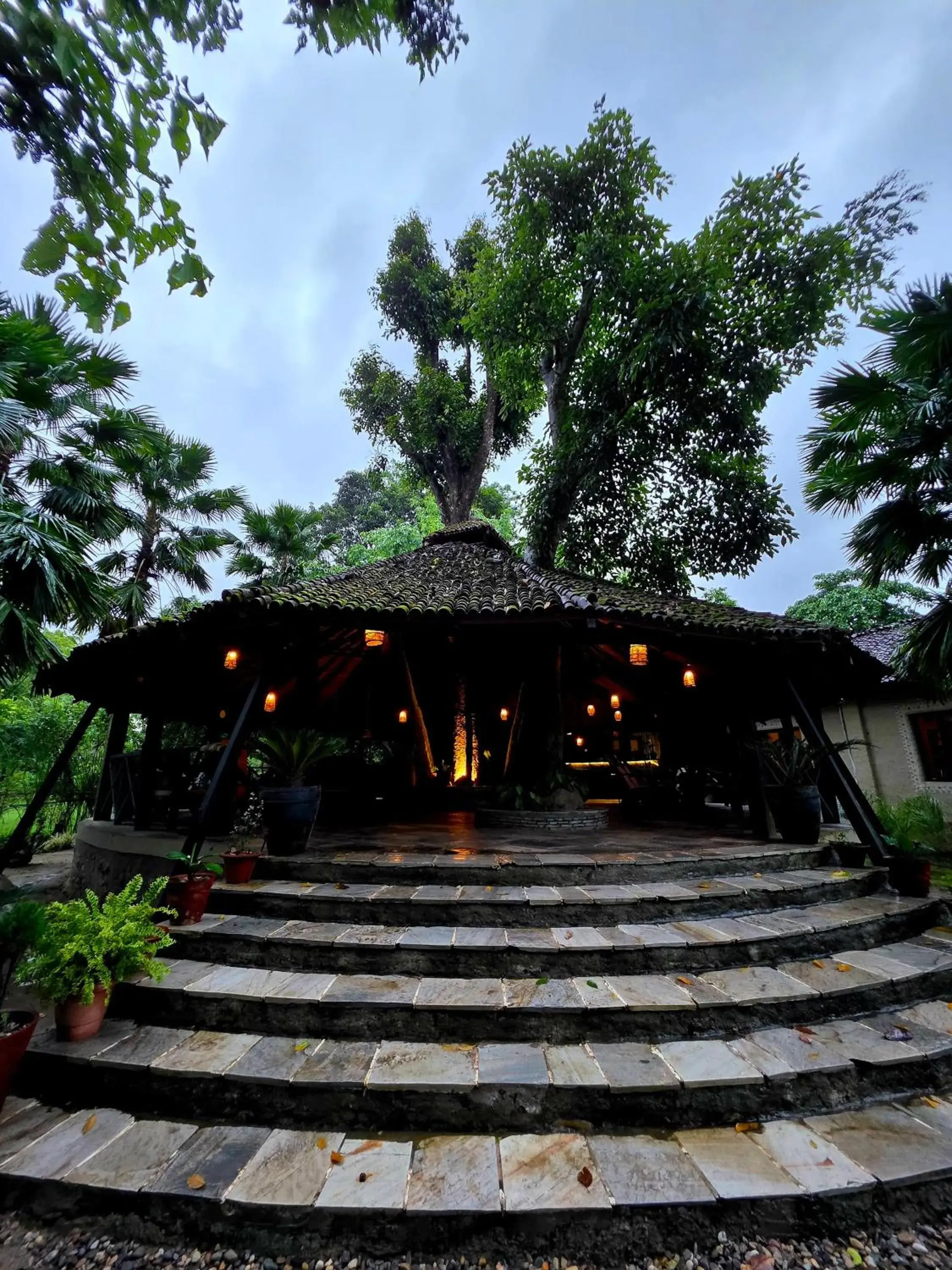 Property building in Siddhartha Wildlife Retreat Property building in Siddhartha Wildlife Retreat