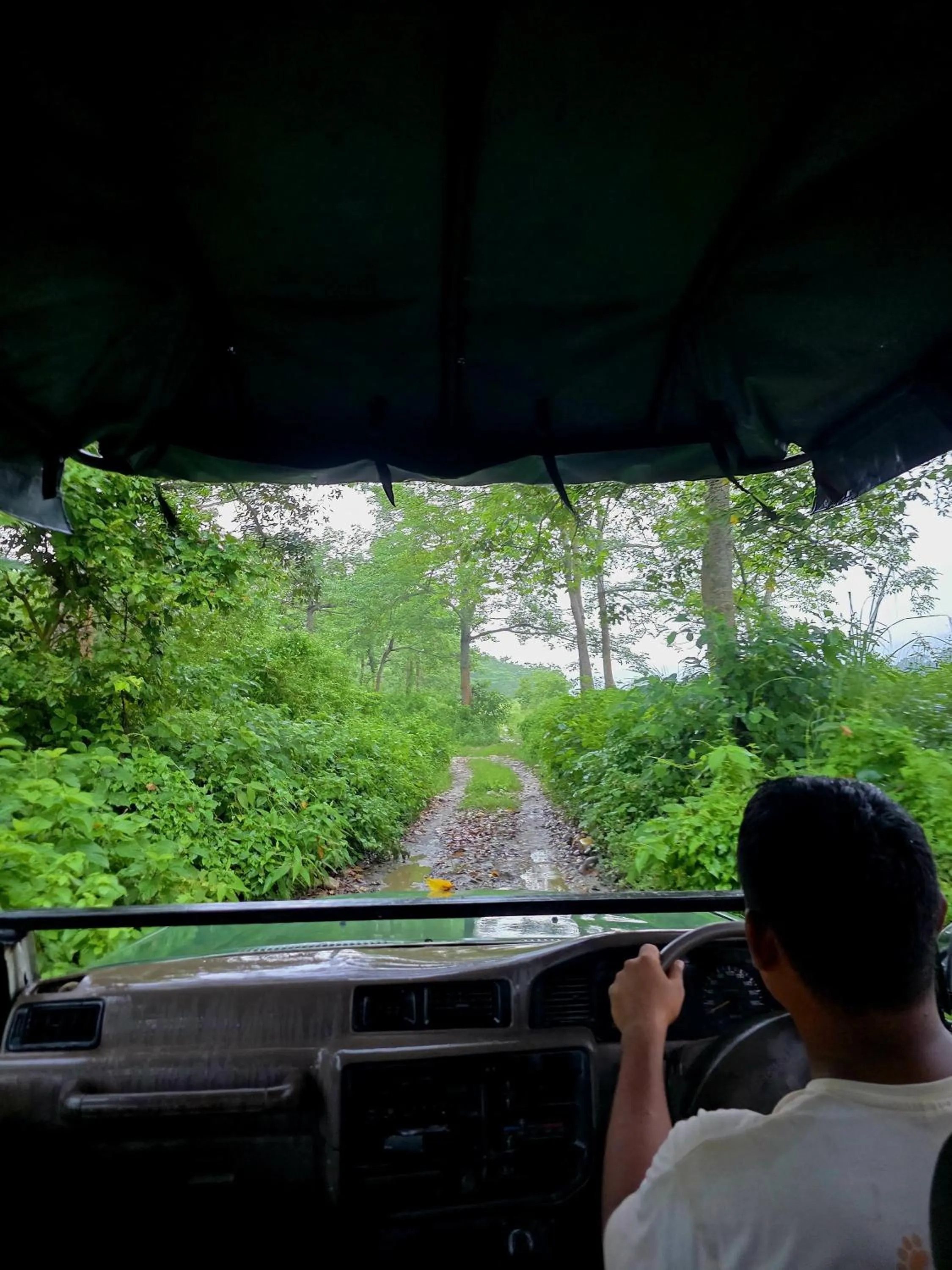 Day in Siddhartha Wildlife Retreat