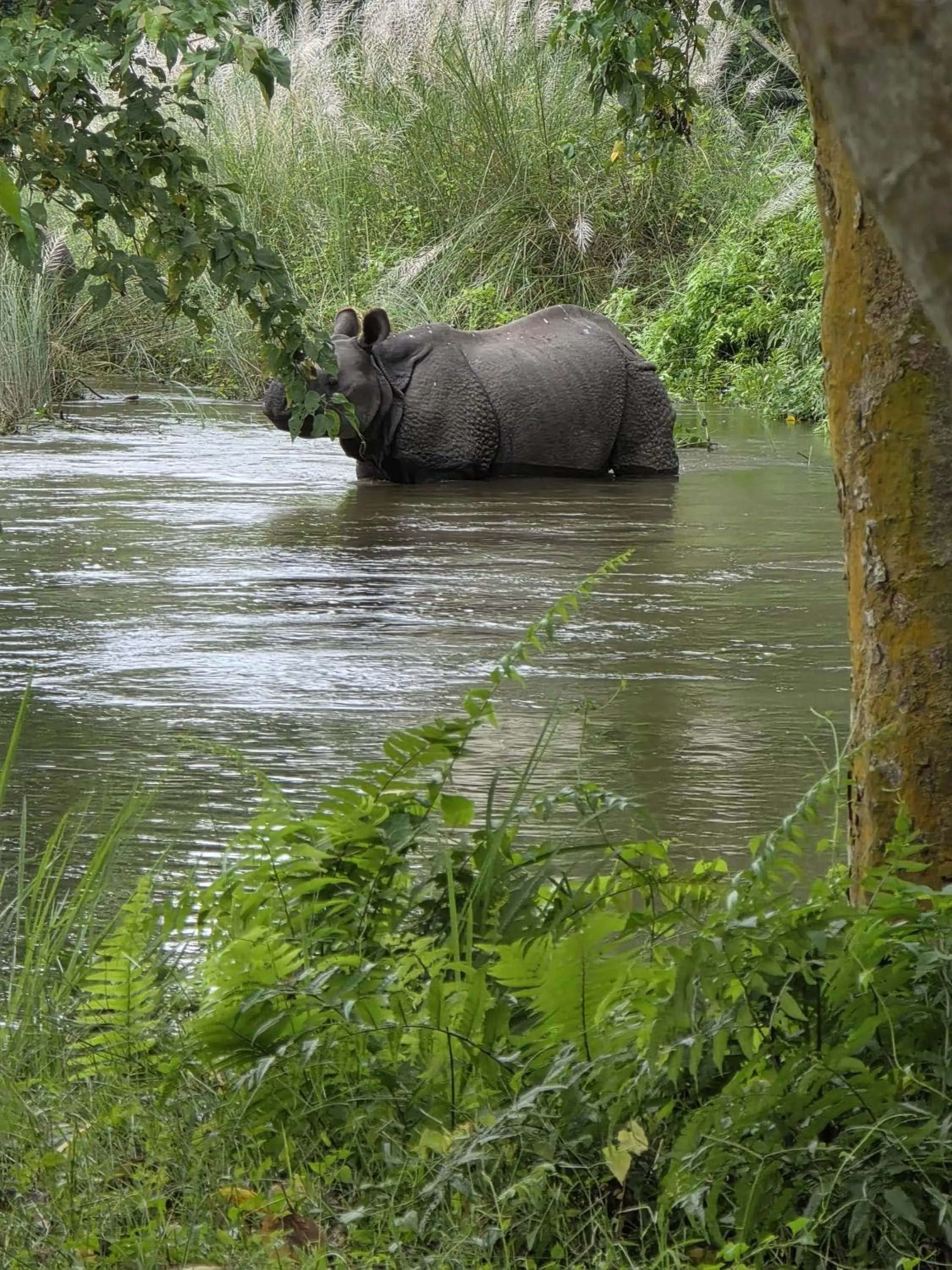 Natural landscape in Siddhartha Wildlife Retreat