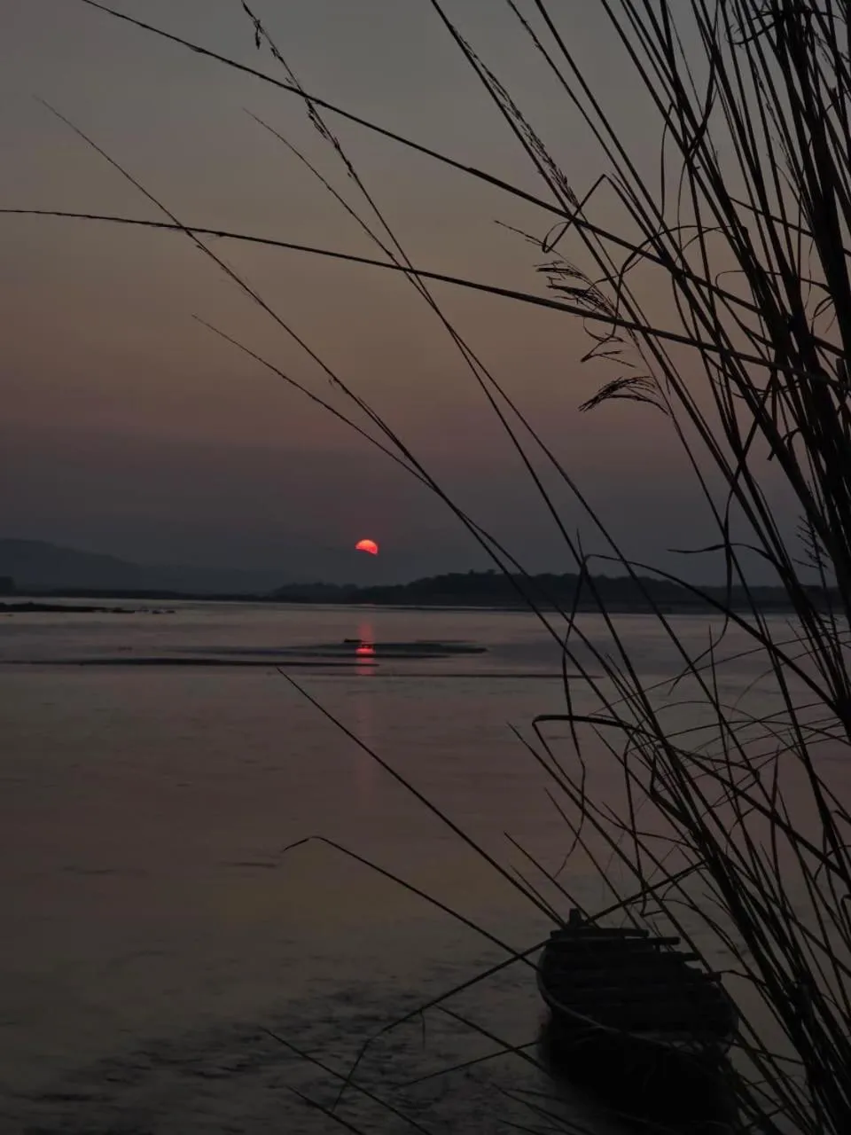 Natural landscape in Siddhartha Wildlife Retreat