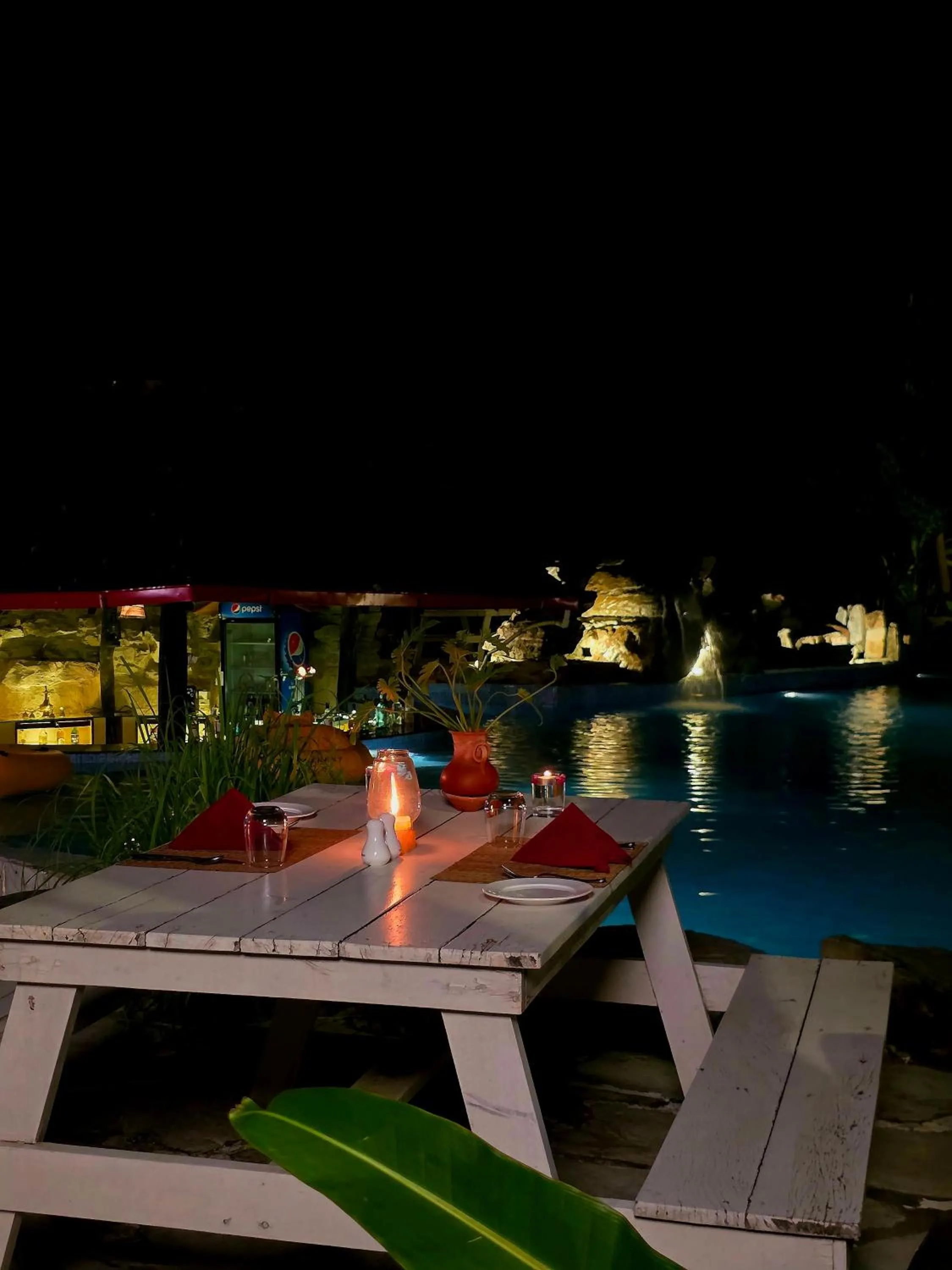 Night in Siddhartha Wildlife Retreat