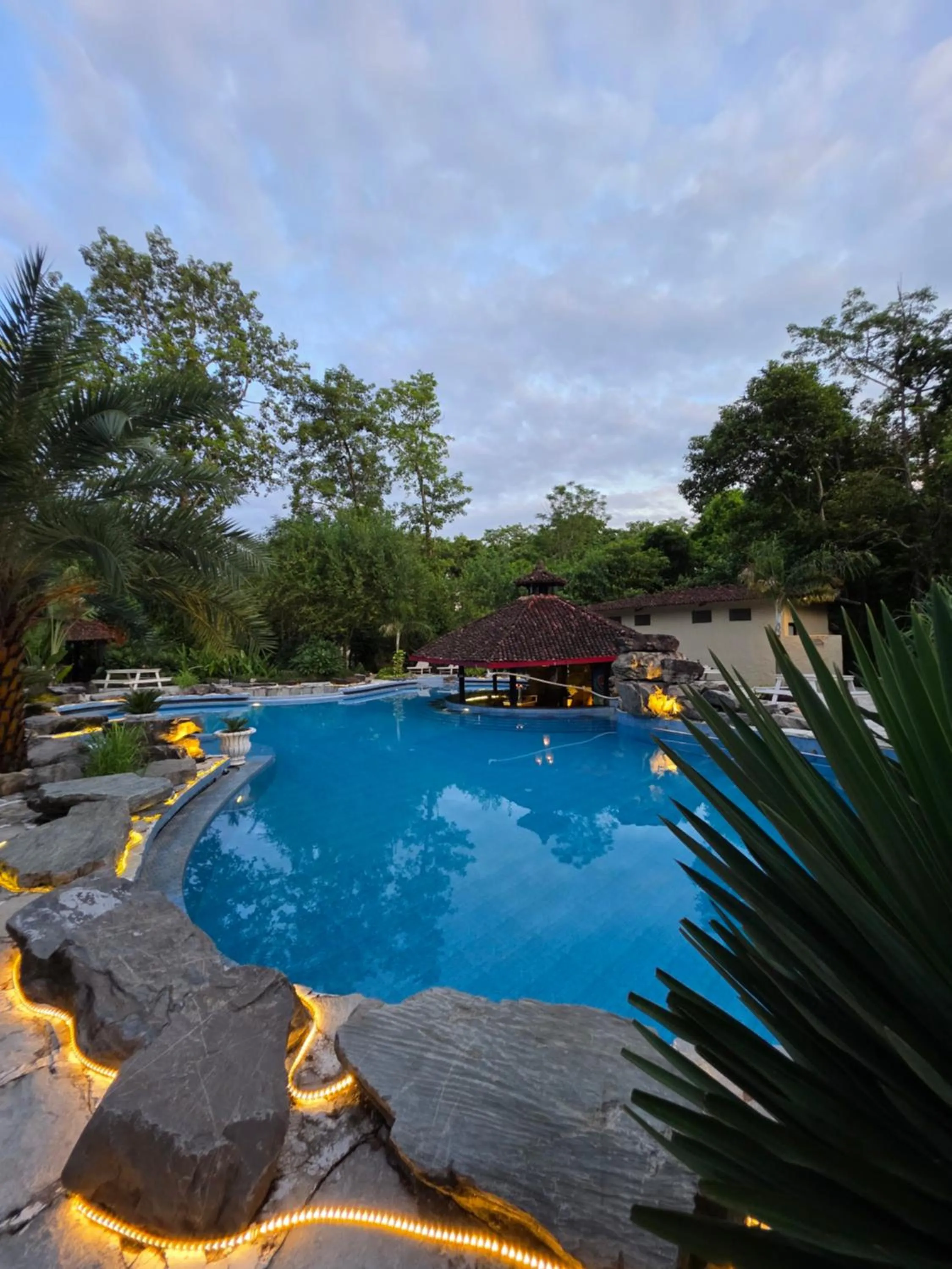 Pool view in Siddhartha Wildlife Retreat