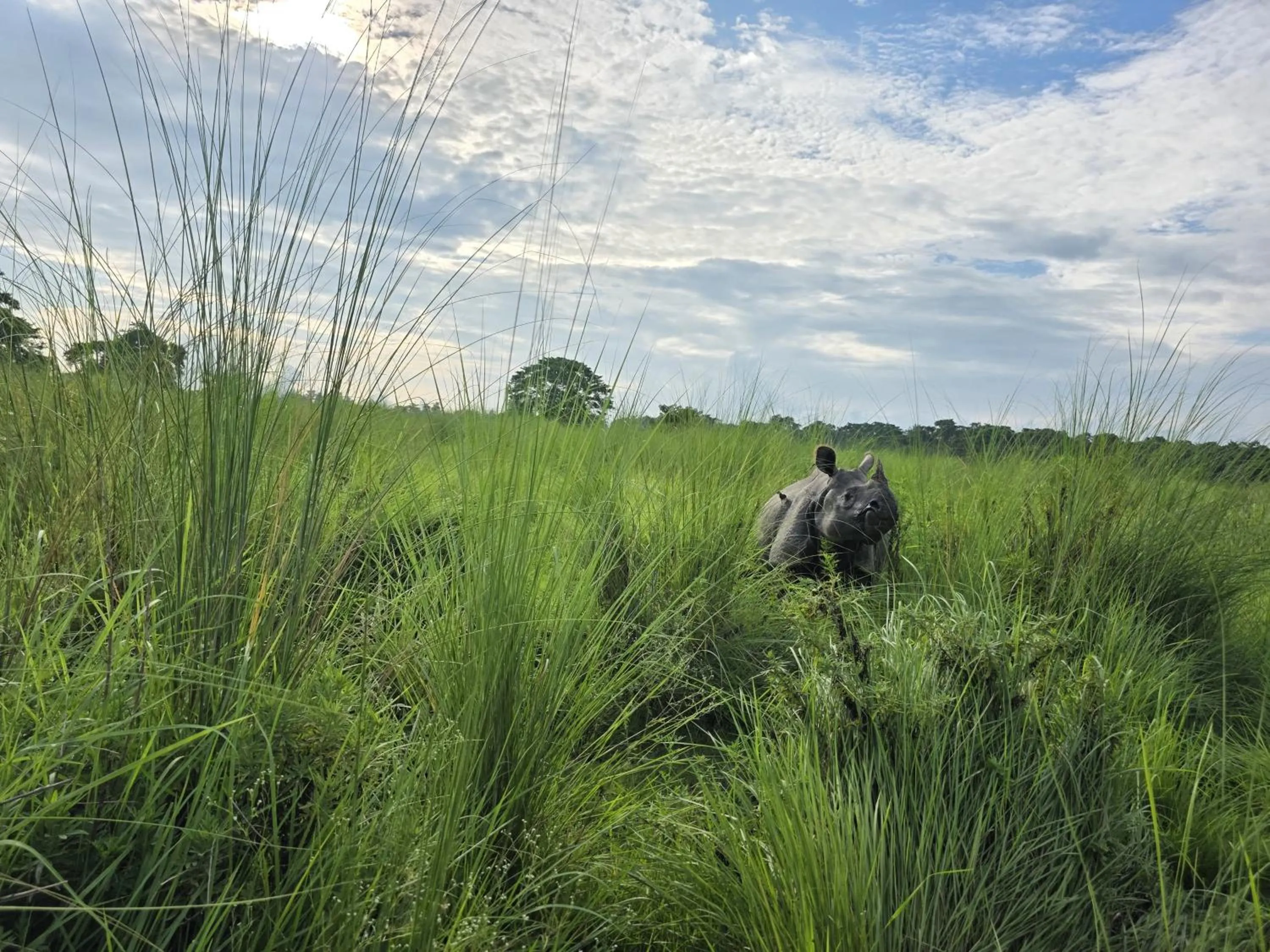Natural landscape in Siddhartha Wildlife Retreat