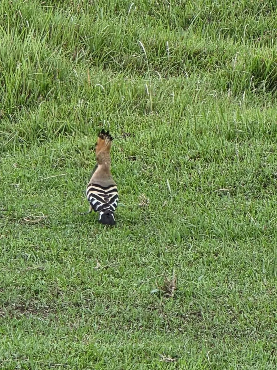 Day in Siddhartha Wildlife Retreat