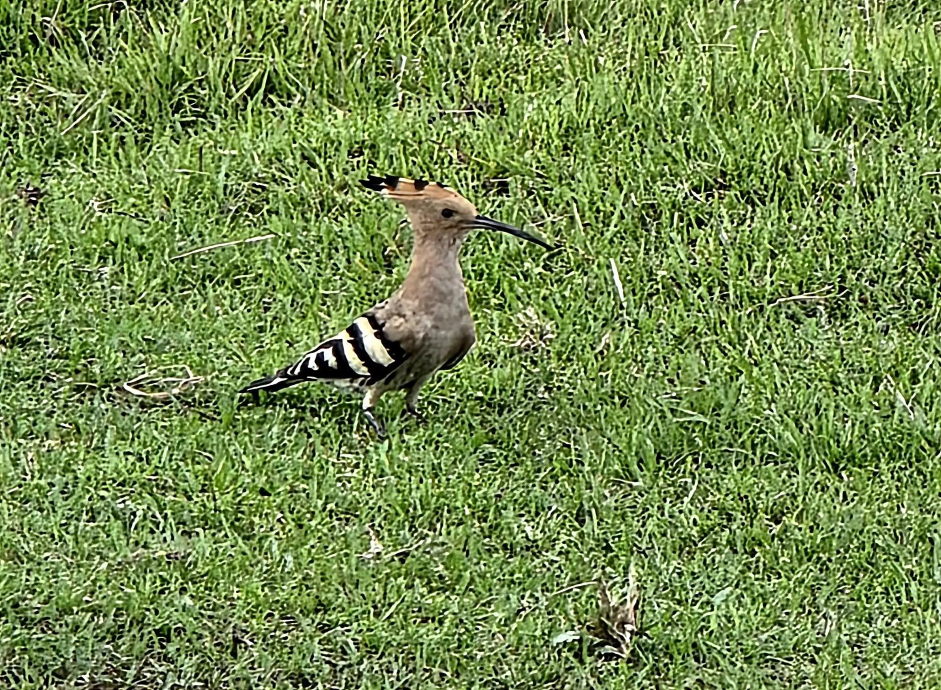 Natural landscape in Siddhartha Wildlife Retreat