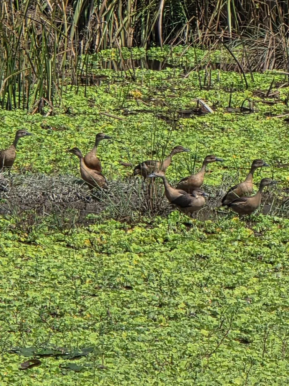 Activities in Siddhartha Wildlife Retreat