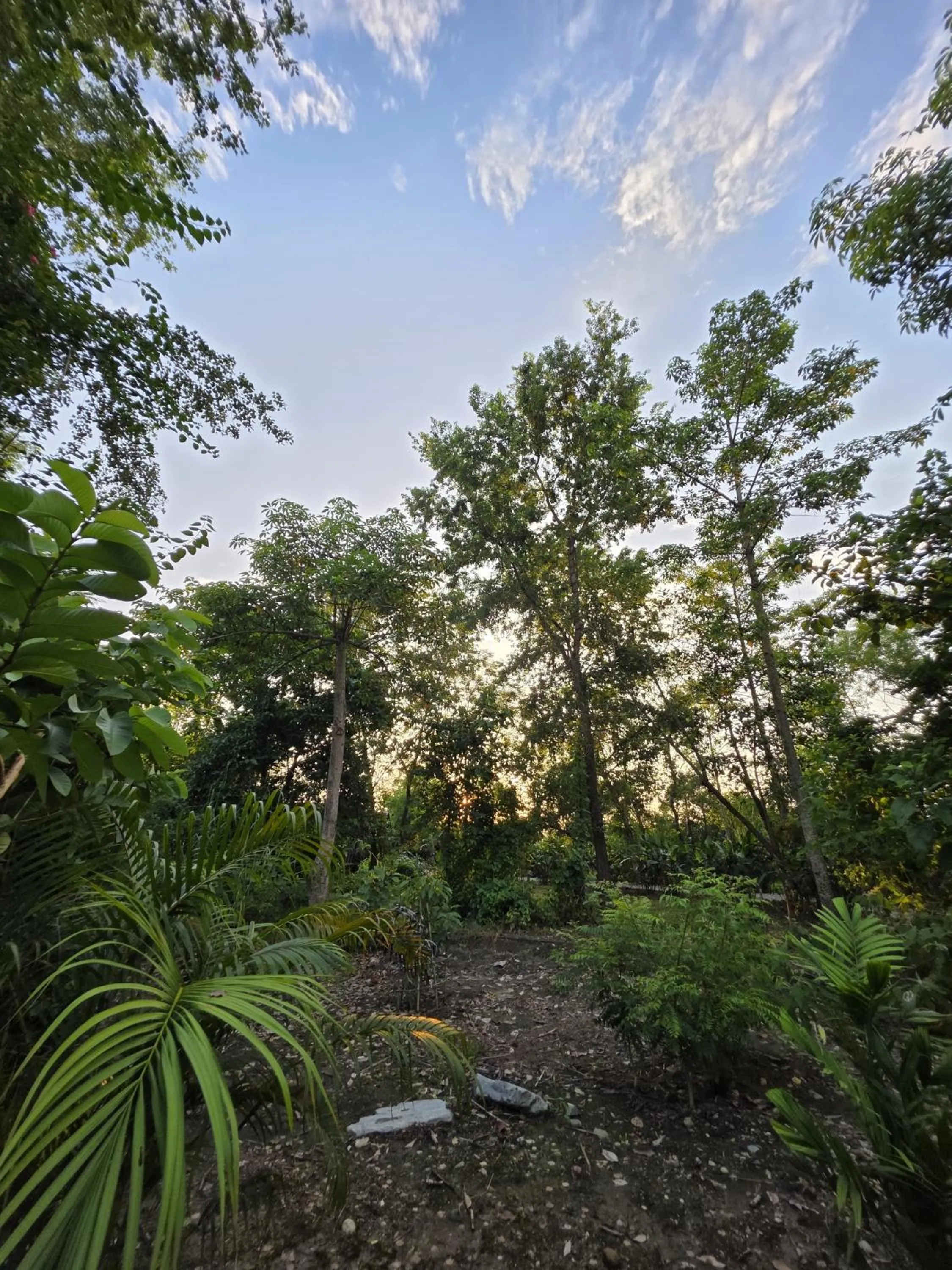 Natural landscape in Siddhartha Wildlife Retreat