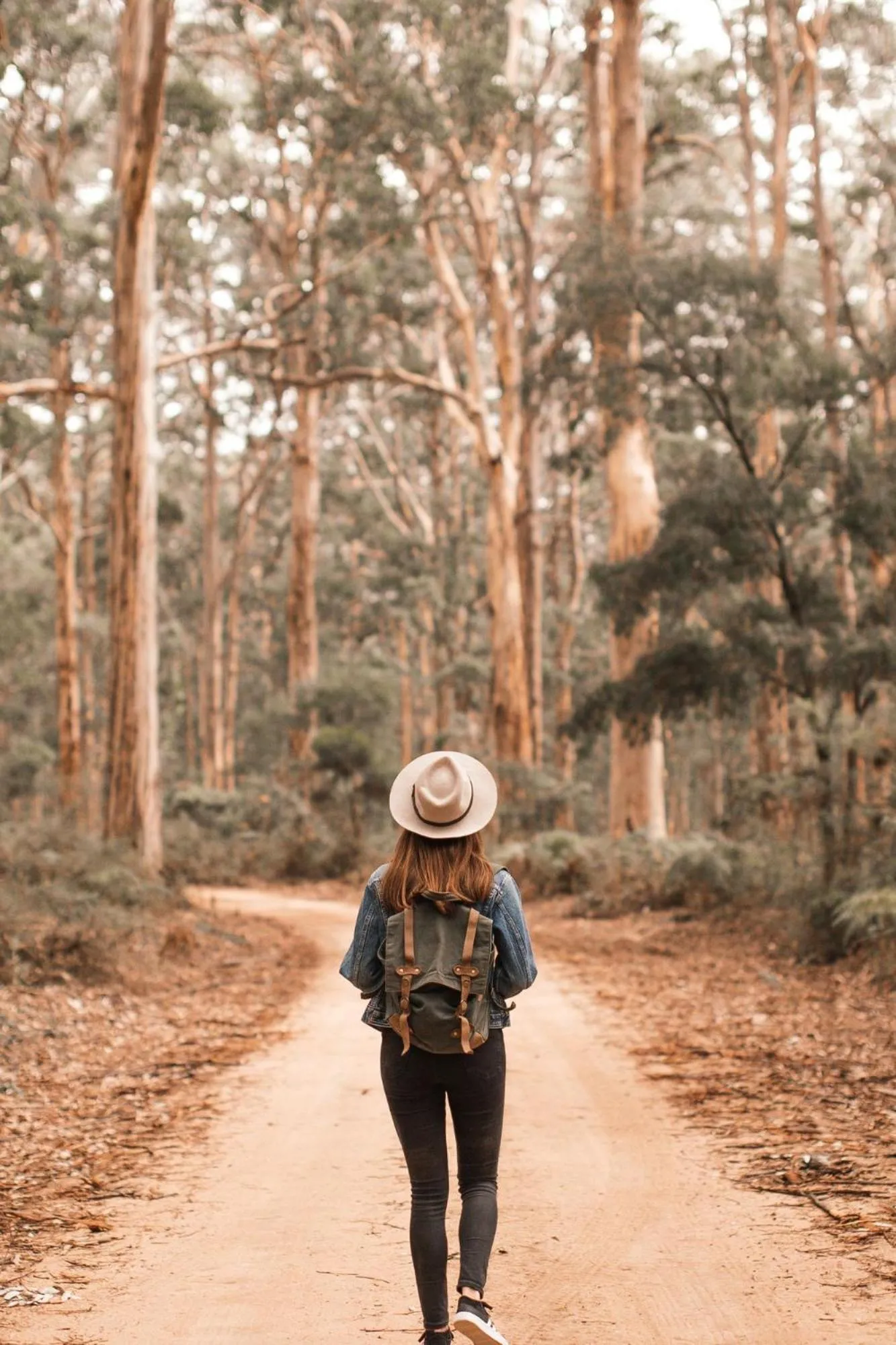 Natural landscape in Zoomers aan het Bos
