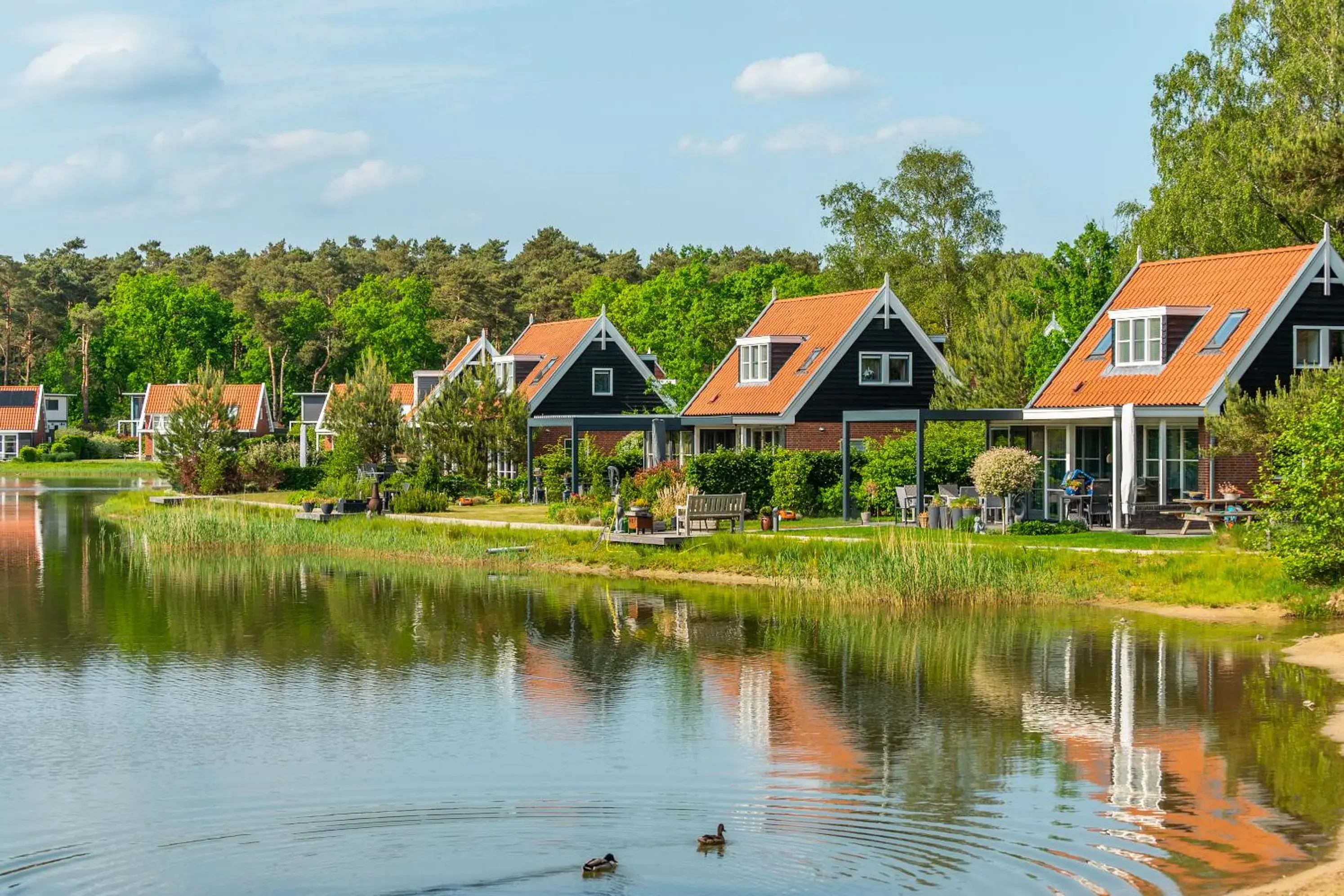 EuroParcs De Zanding EuroParcs De Zanding