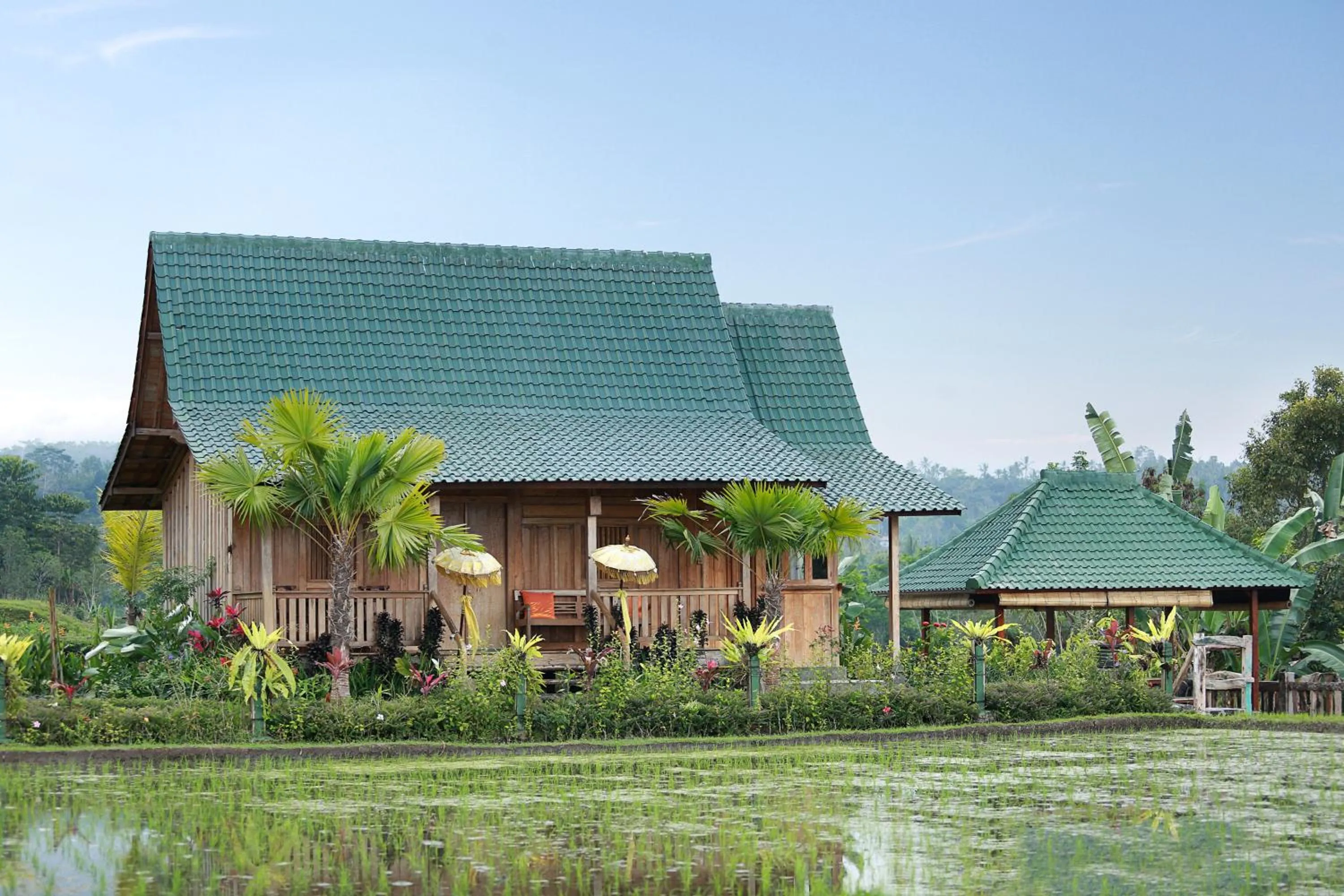 Area and facilities in Ti Amo Bali