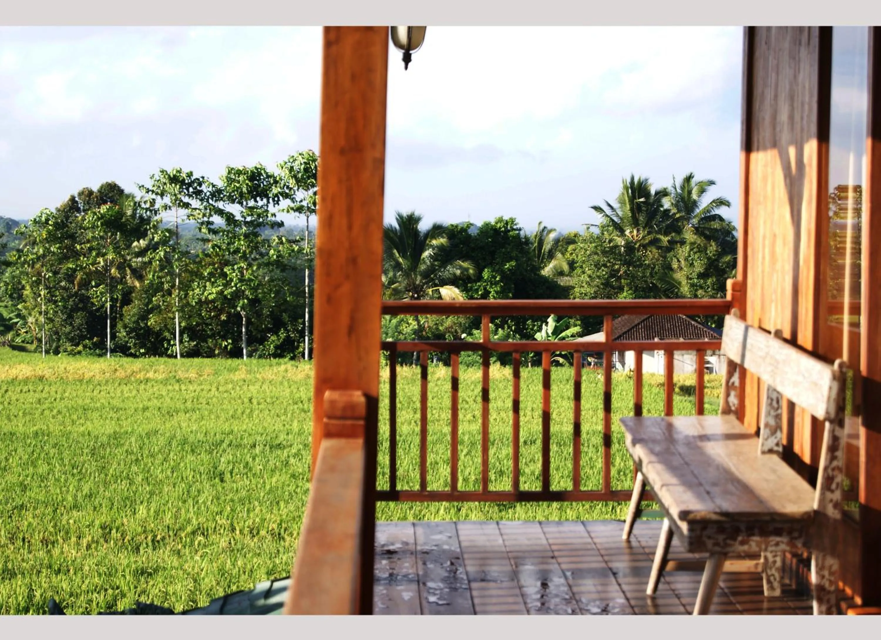 Natural landscape in Ti Amo Bali