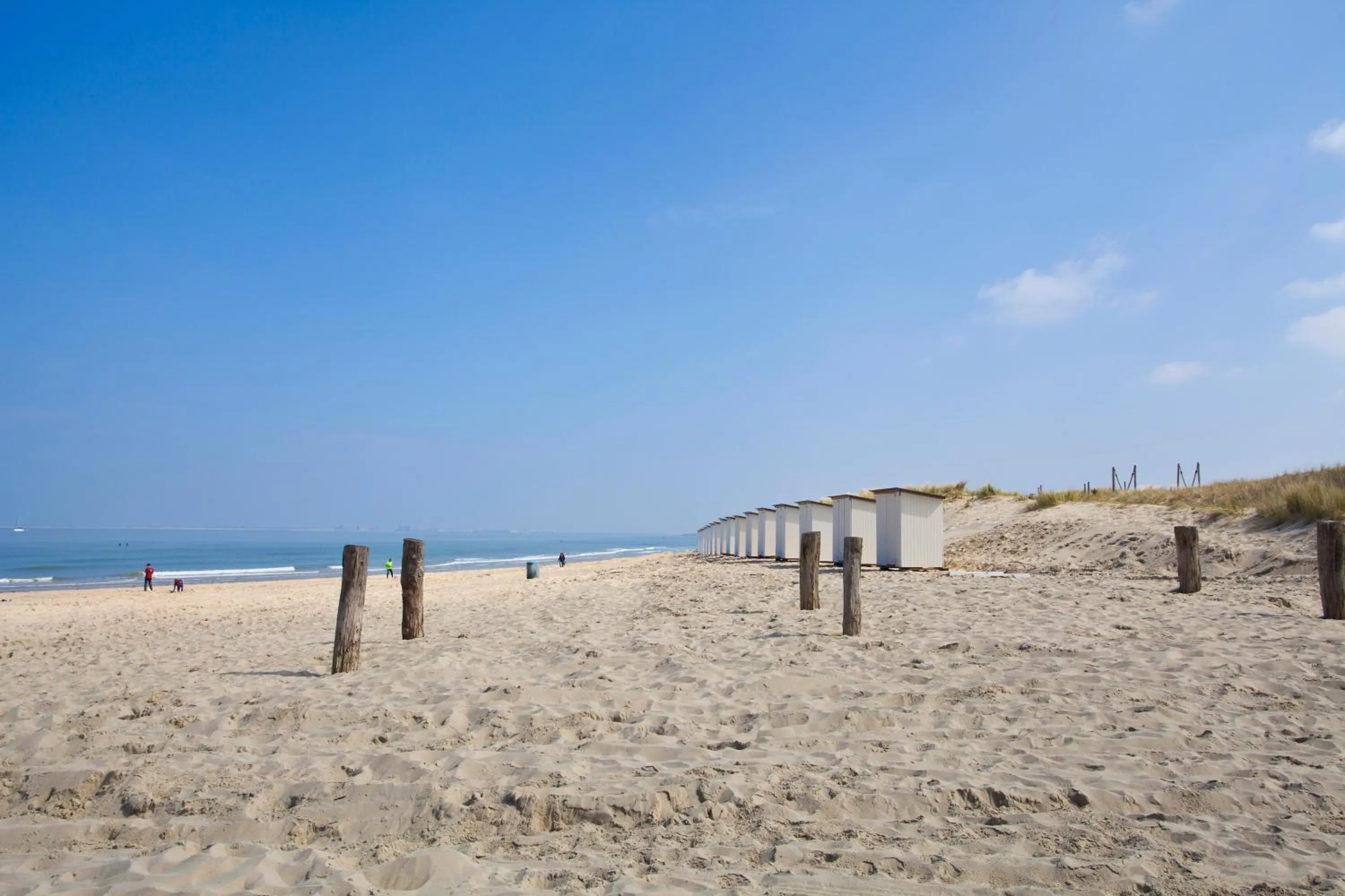 Beach in EuroParcs Schoneveld