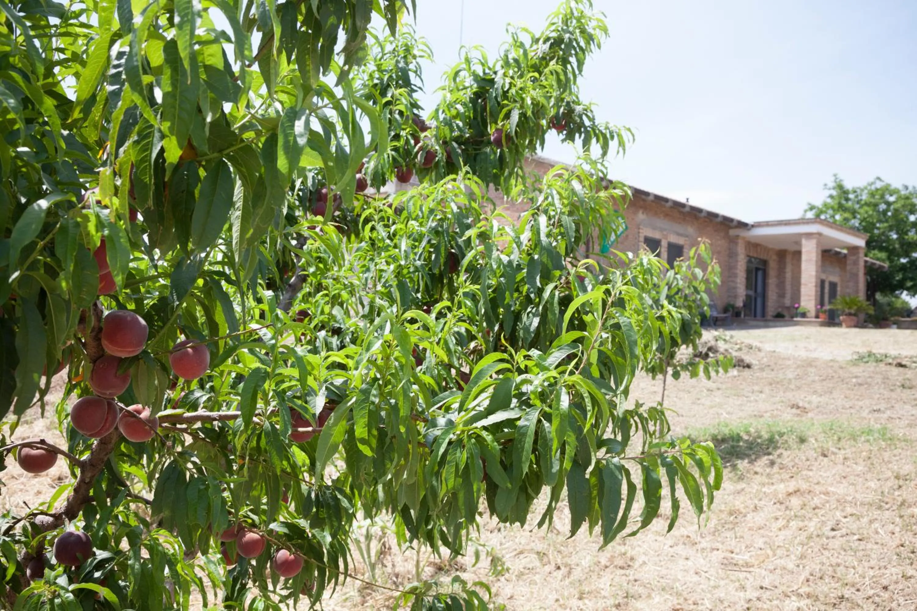 Property building in B&B La Collina