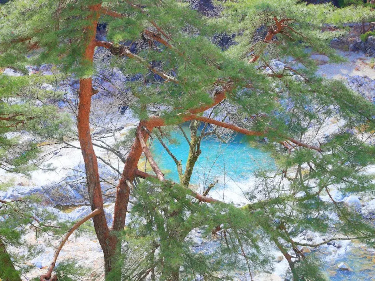 River view in Kinugawa Onsen Hana no Yado Matsuya River view in Kinugawa Onsen Hana no Yado Matsuya