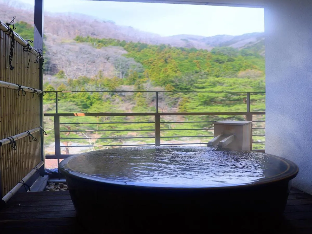 Hot Spring Bath in Kinugawa Onsen Hana no Yado Matsuya