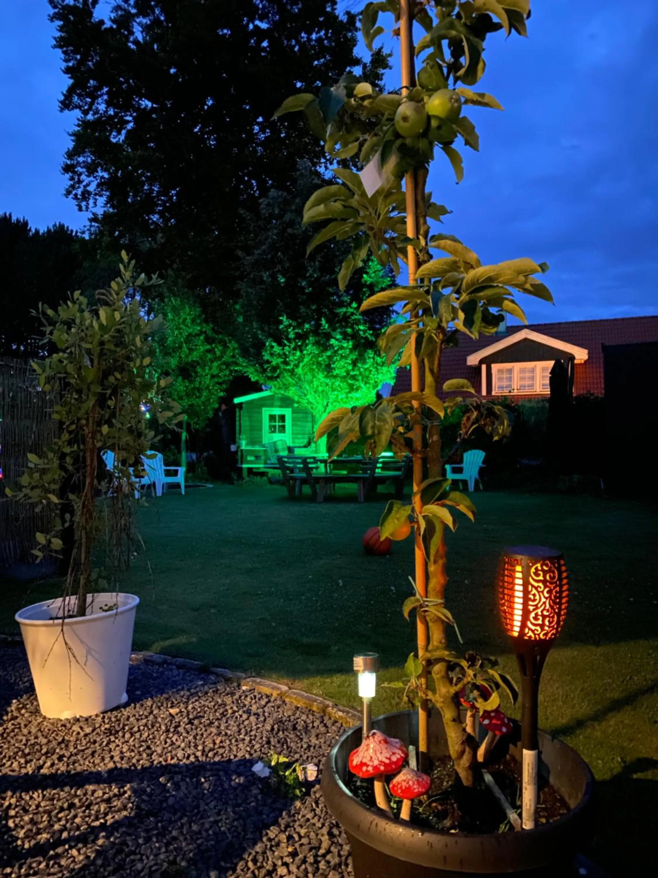 Garden in Piccobello Bed & Breakfast Valløby Køge