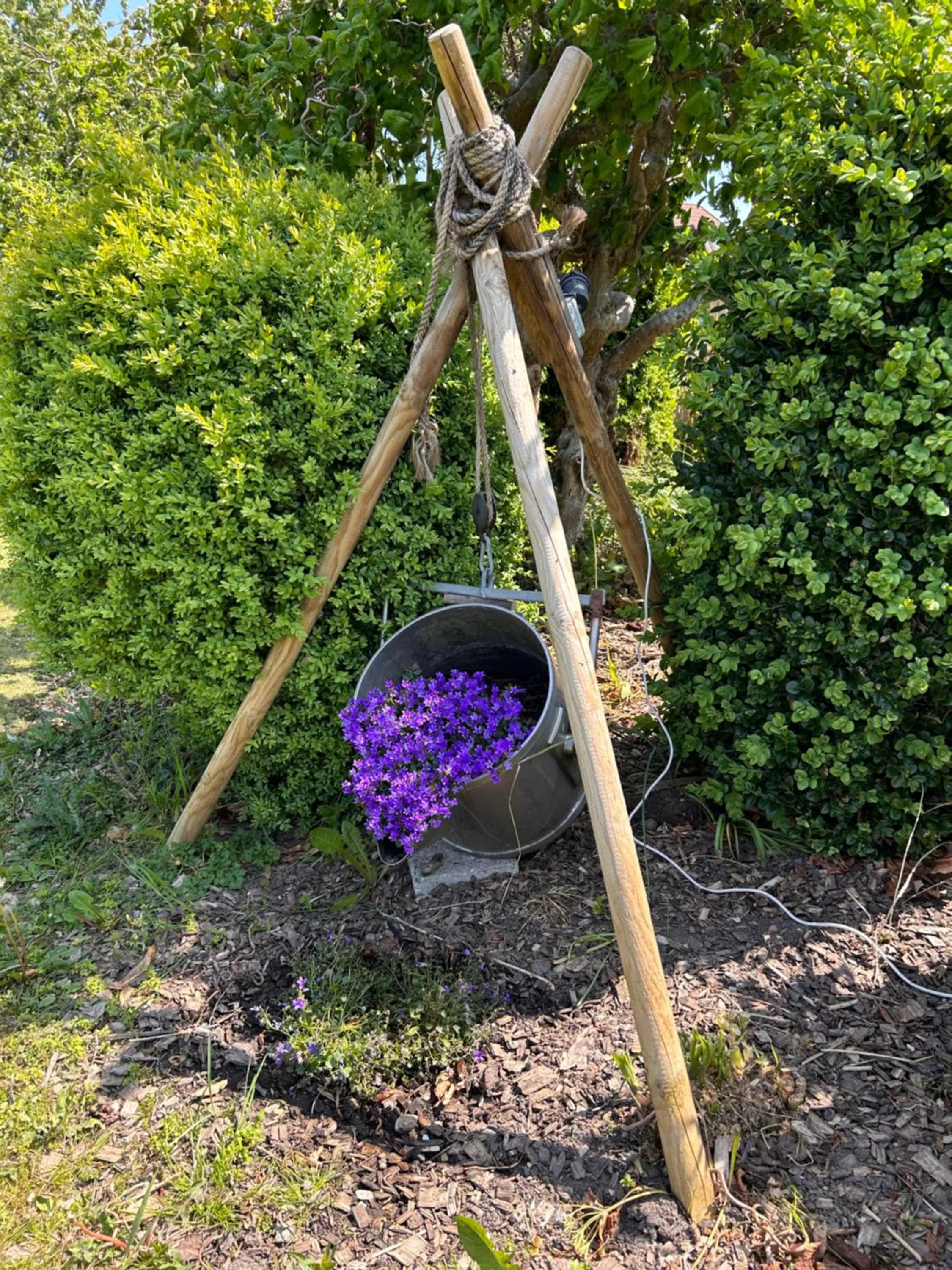 Day in Piccobello Bed & Breakfast Valløby Køge