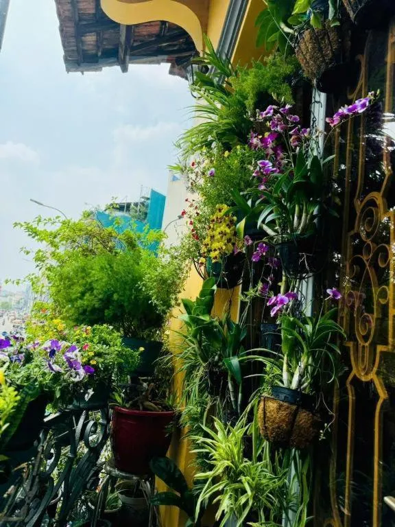 Son Tung Hotel - De Tham Street