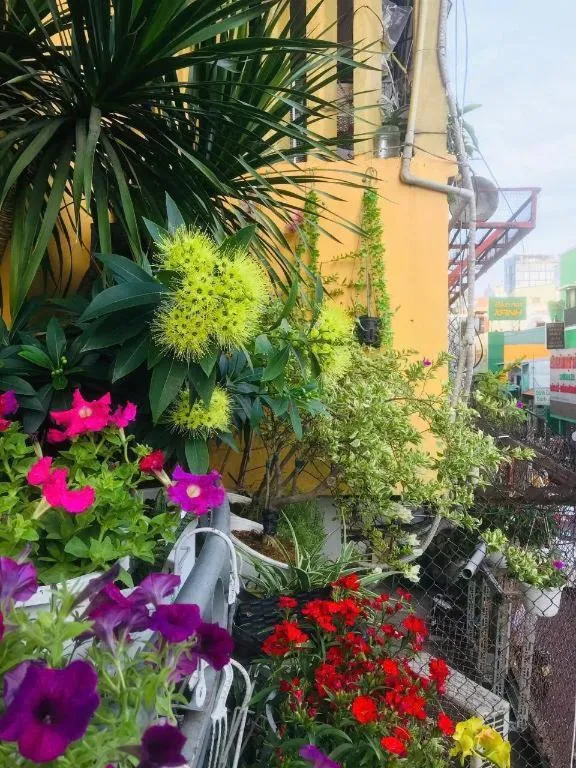 Son Tung Hotel - De Tham Street