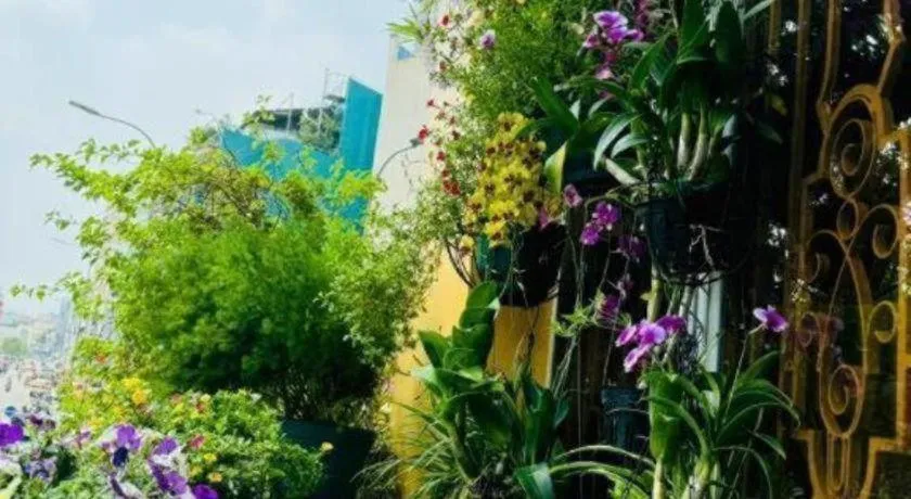 Son Tung Hotel - De Tham Street