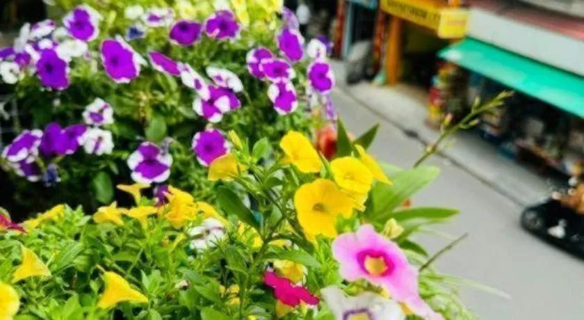 Son Tung Hotel - De Tham Street