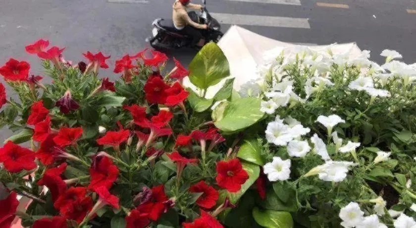 Son Tung Hotel - De Tham Street