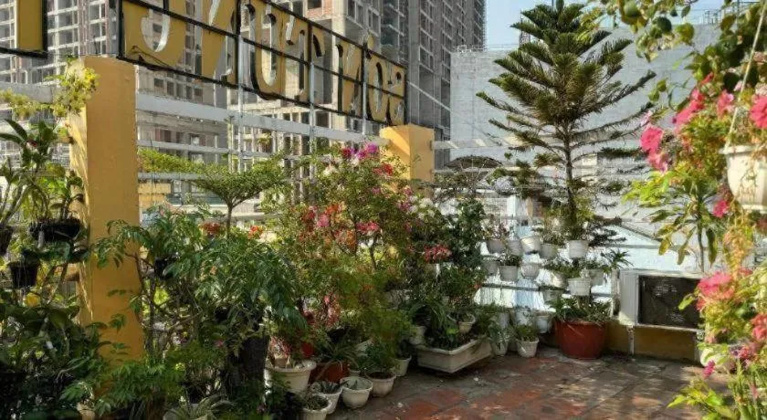 Son Tung Hotel - De Tham Street