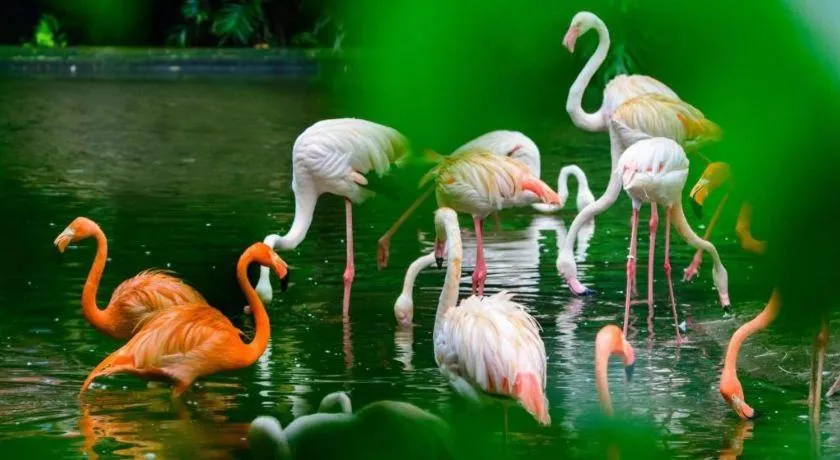 7 Days Inn Guangzhou Zoo Huanghuagang Metro Station