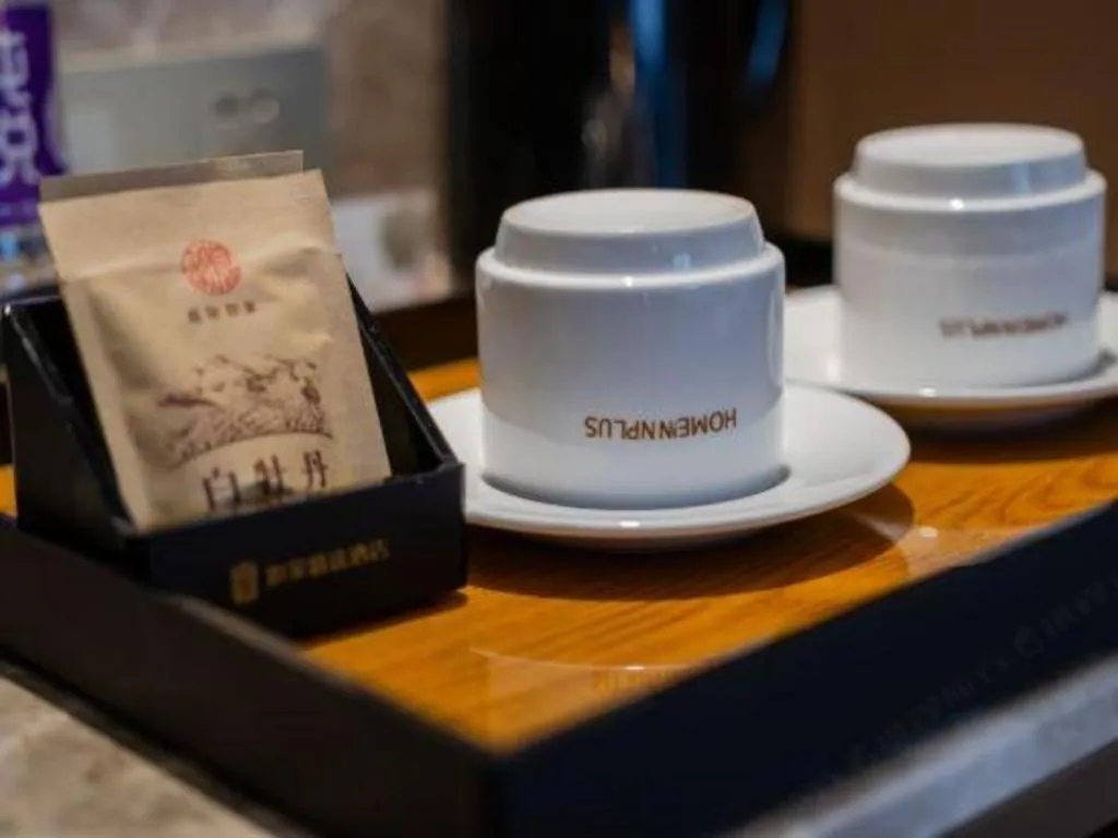 Home Inn Plus Shanghai Zhangjiang Guanglan Road Metro Station