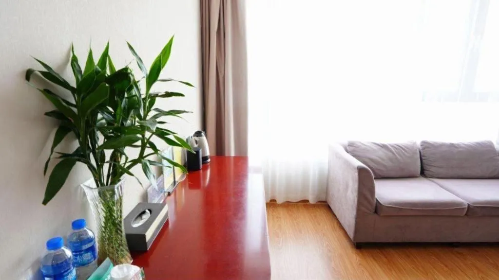 GreenTree Inn Tianjin JinNan ShuangLin Metro Station Express Hotel