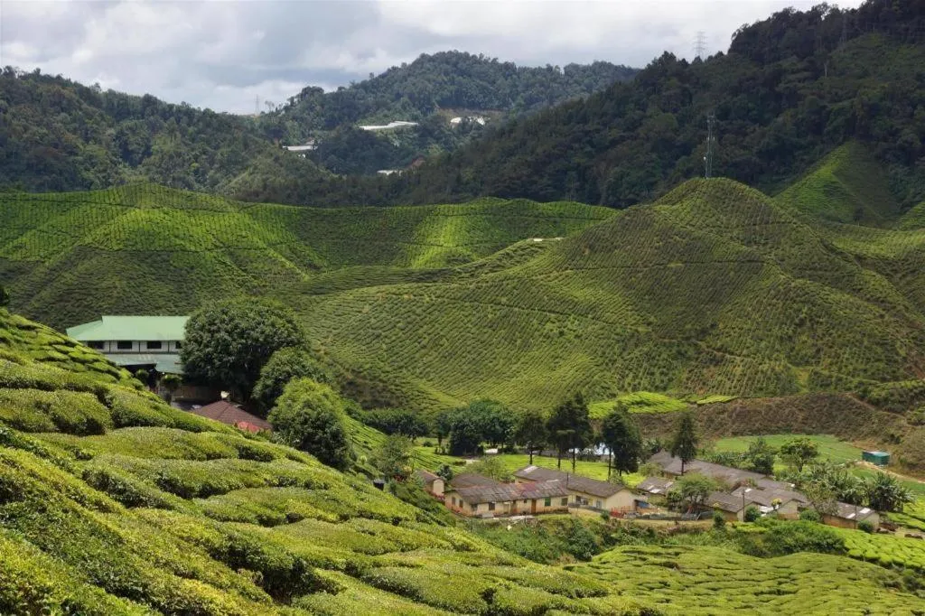 OYO 229 Parkland Hotel