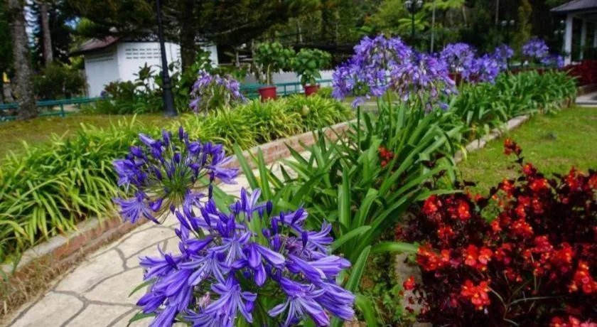 OYO 229 Parkland Hotel