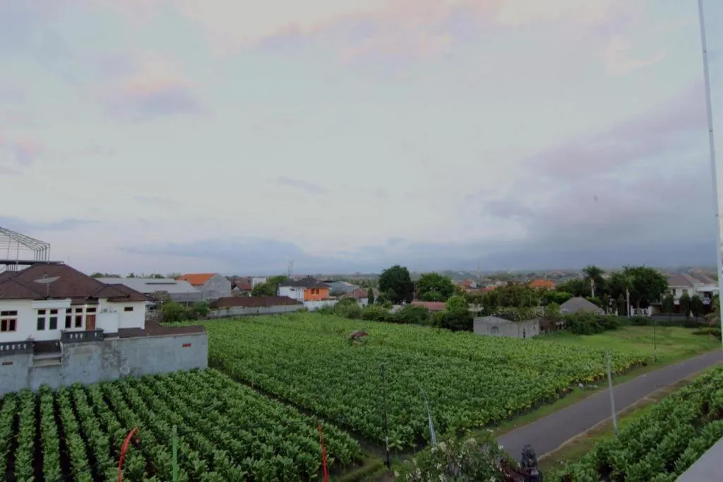 MANDARI HOTEL SINGARAJA