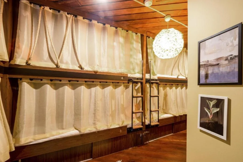 OYO 895 The Onion Hostel