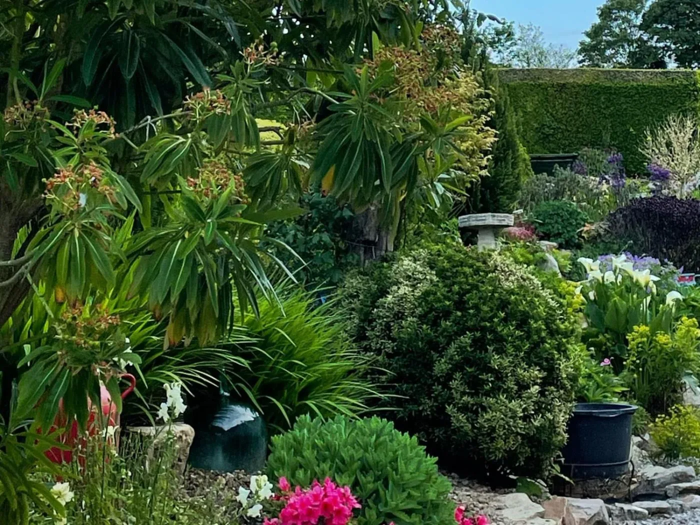 Garden view in La Lande