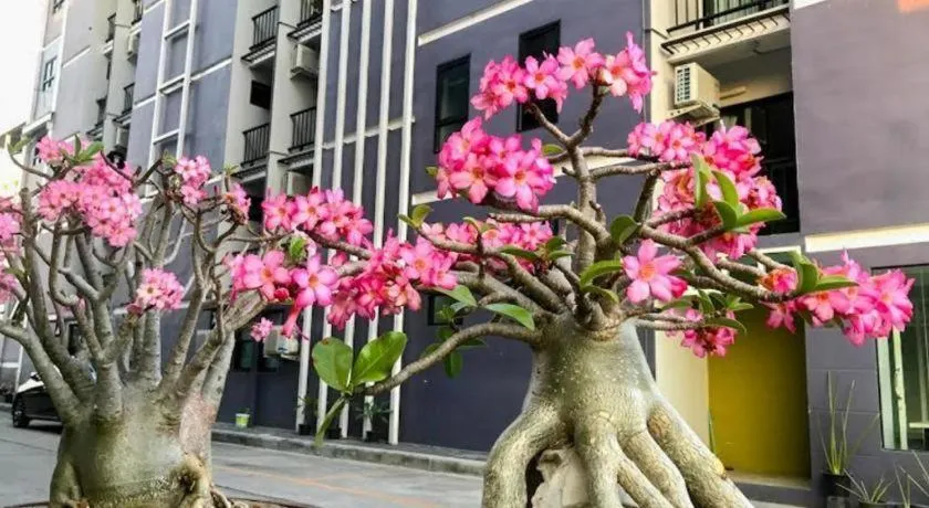 Delighted Bangkok Hotel