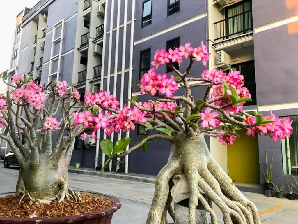 Delighted Bangkok Hotel