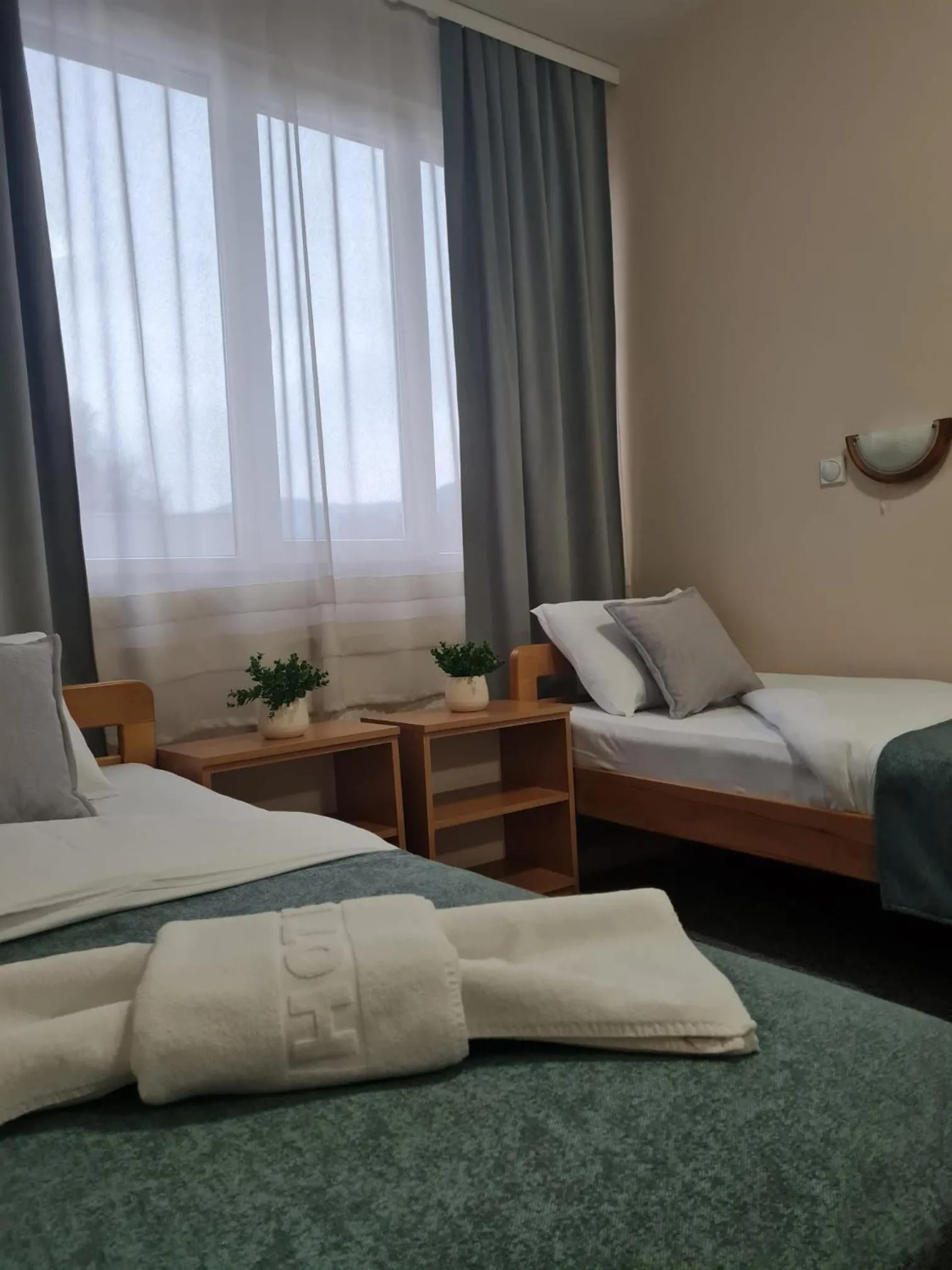 Garni hotel Alma