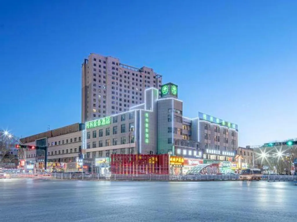 GreenTree Inn Geermu Walking Street Business Hotel