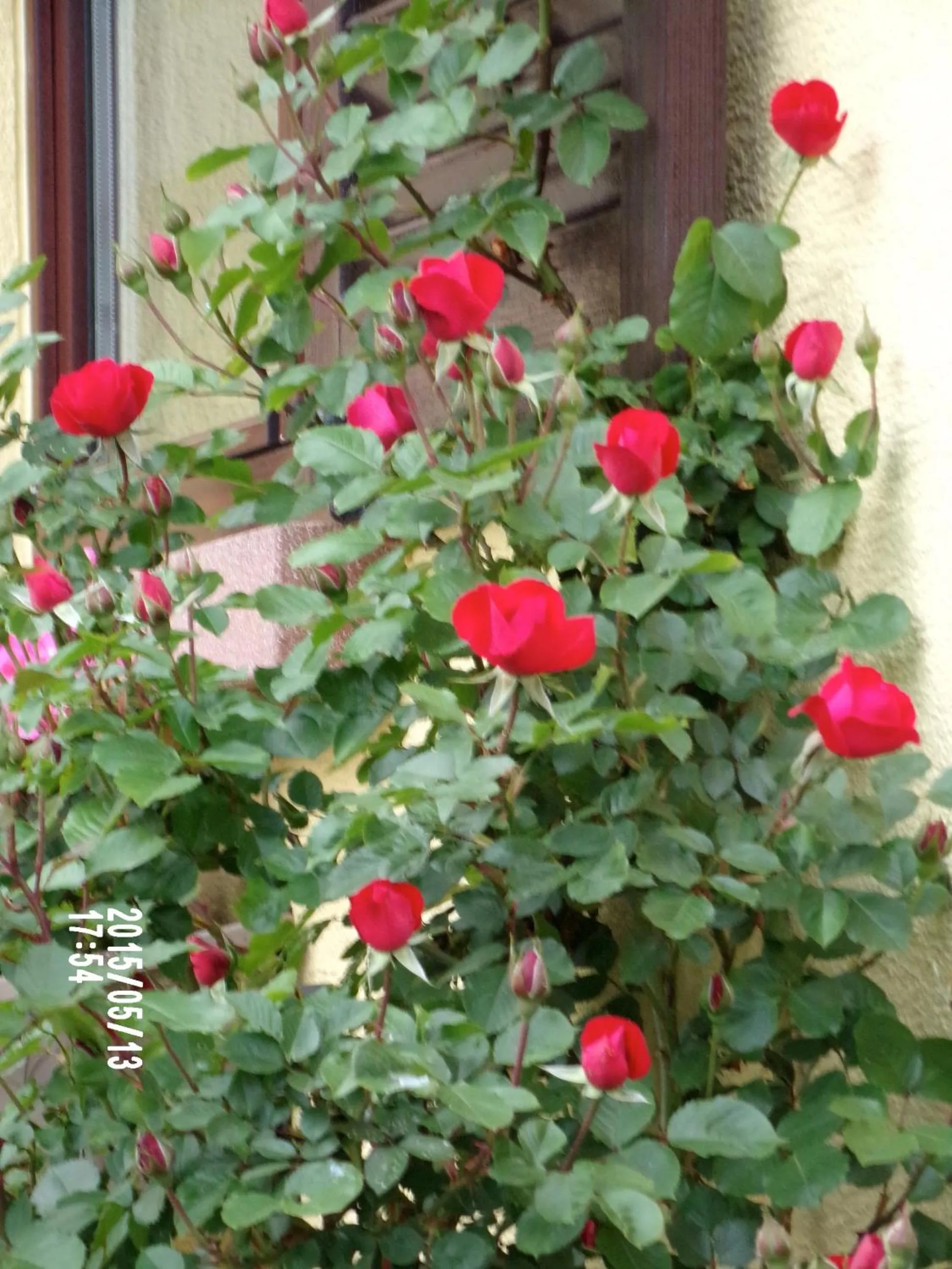 Property building in Chambres D'hotes Du Vignoble