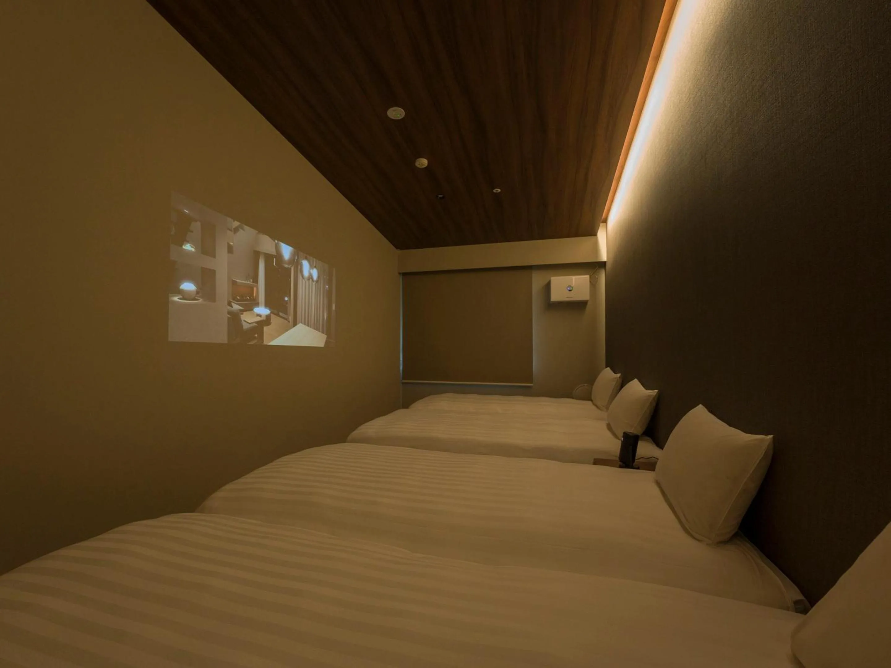 Photo of the whole room, Bed in Rakuten STAY VILLA Hakone Togendai