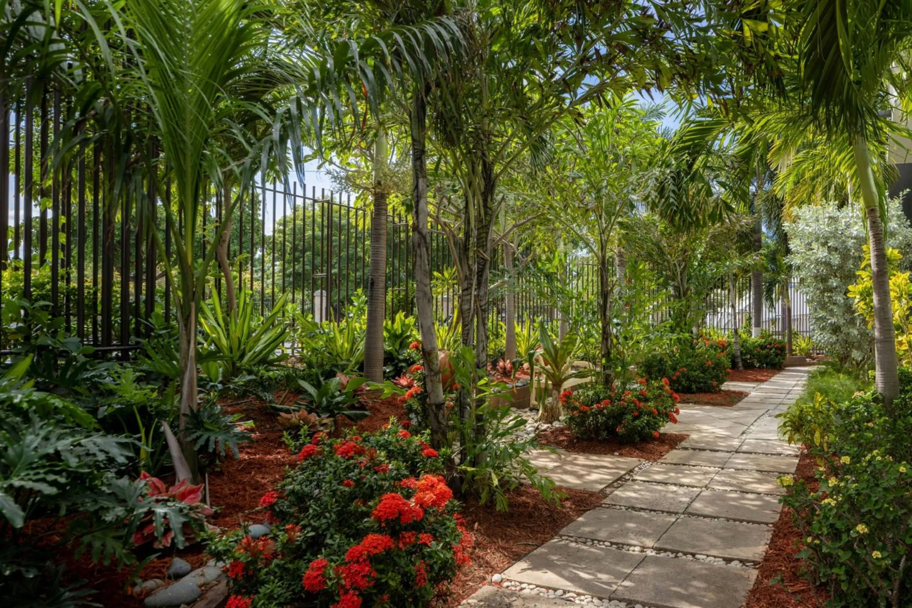 Lobby or reception in Courtyard by Marriott Kingston, Jamaica