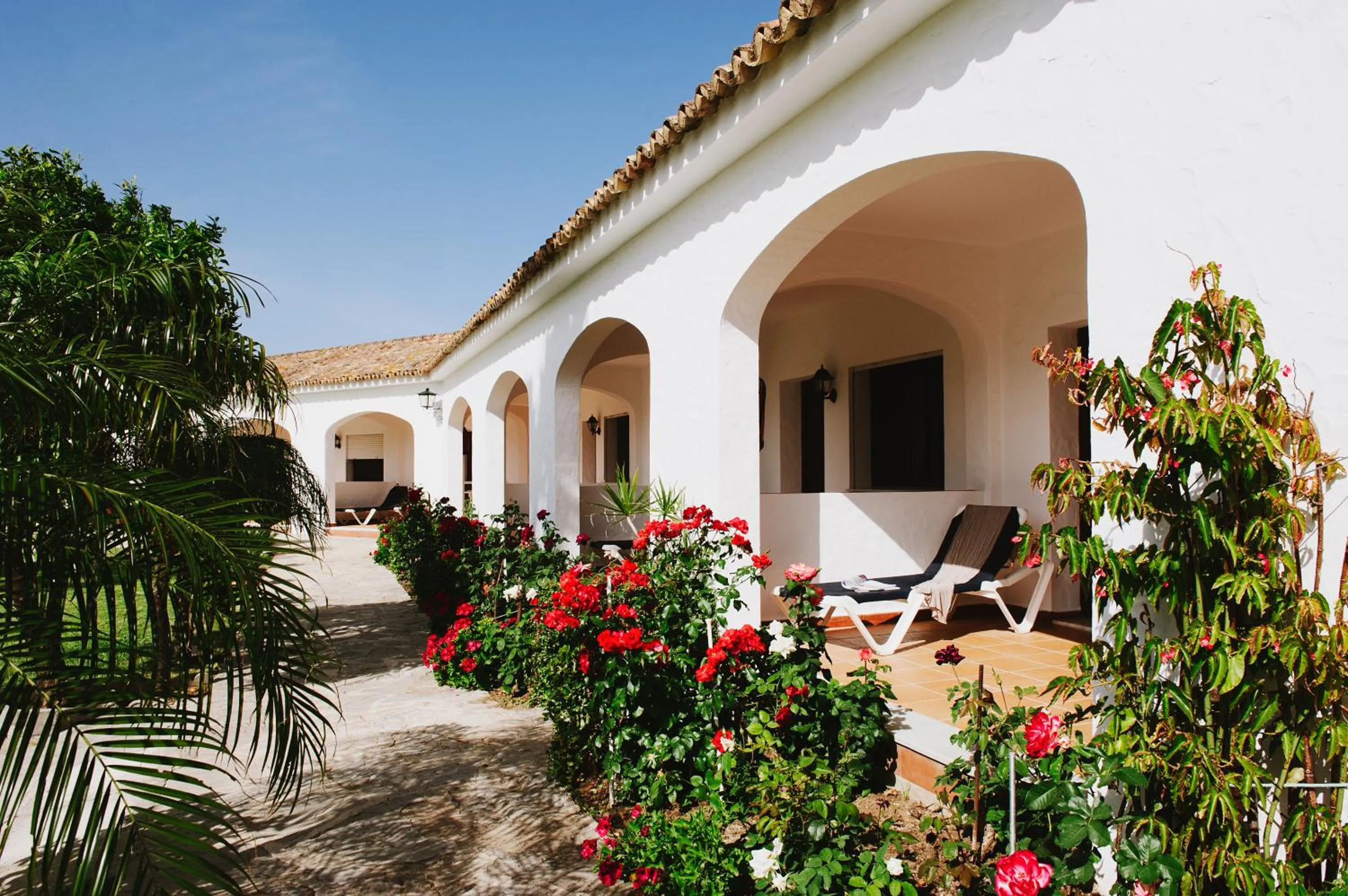 Patio in La Codorniz