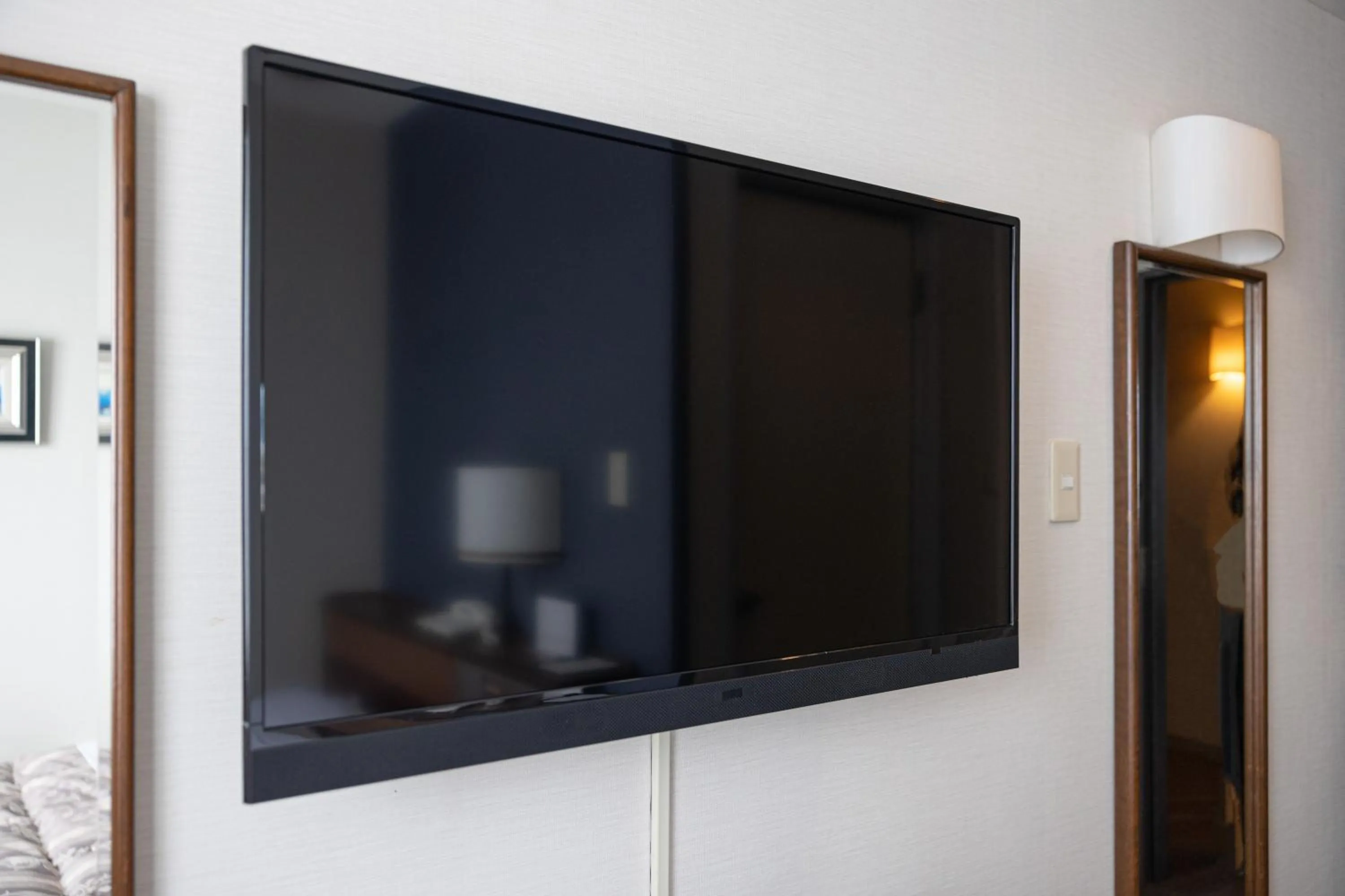 TV and multimedia in GARDEN HOTEL Hanayo