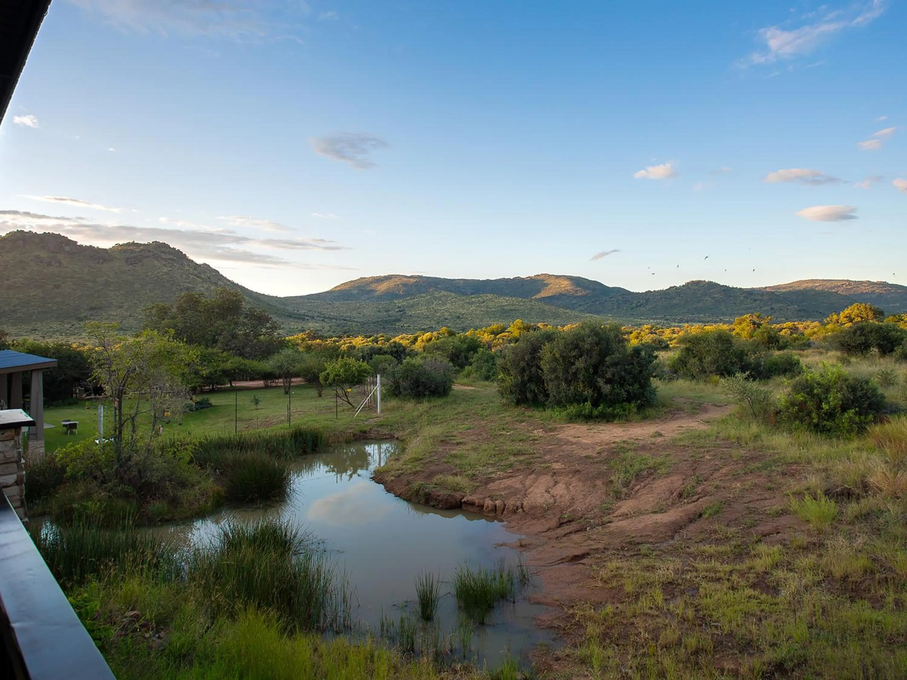 View (from property/room) in Shepherds Tree Game Reserve