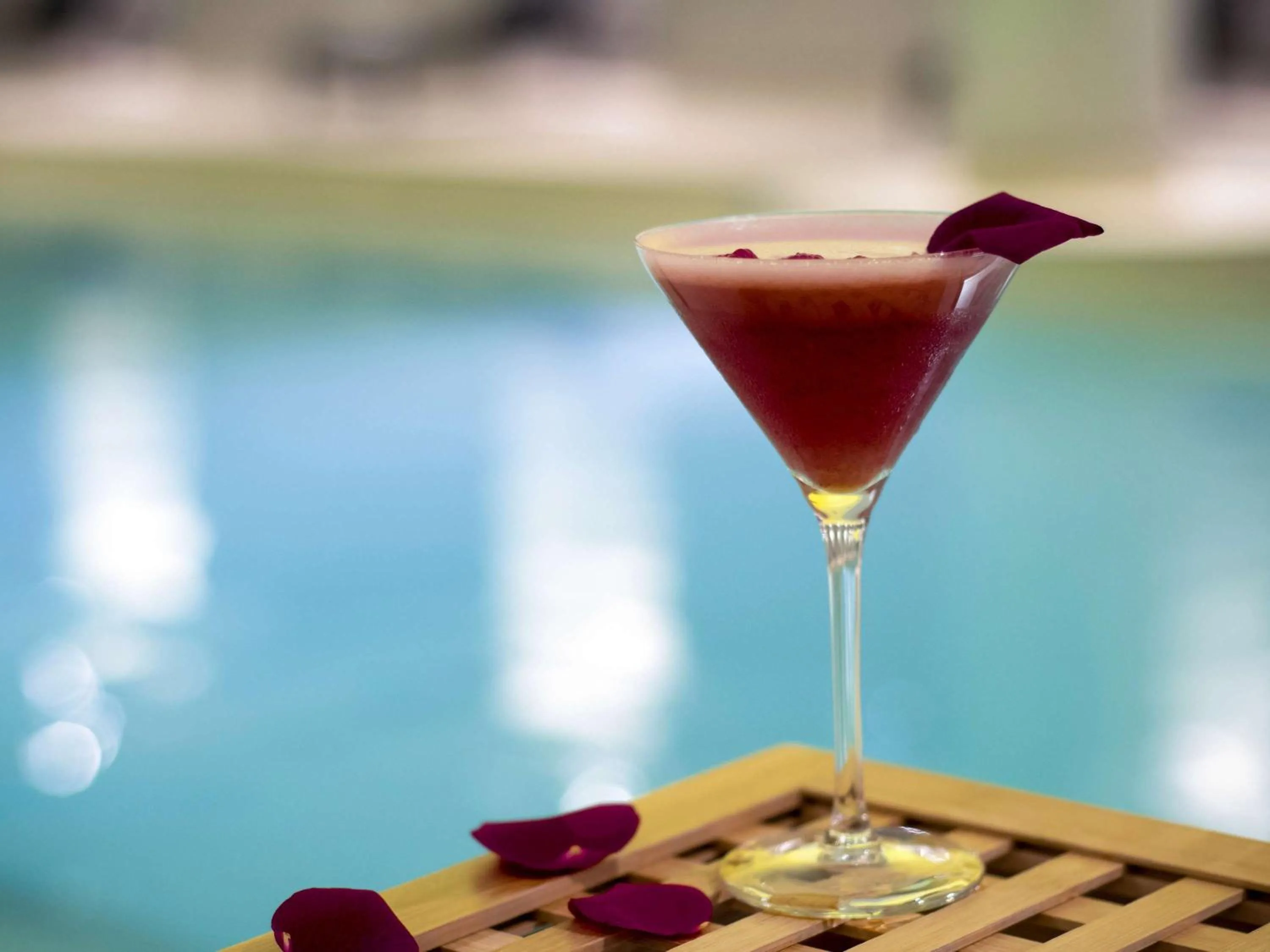 Lounge or bar in Pullman Paris Roissy Cdg Airport