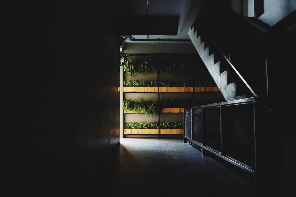 Triple B sleep and relax